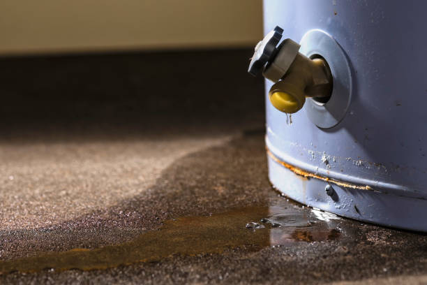 Water damage restoration mold remediation in Dewitt, MI