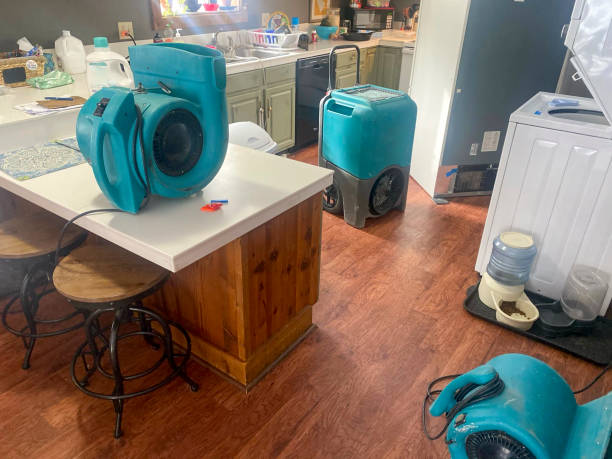 Best Flood damage cleanup  in Dewitt, MI