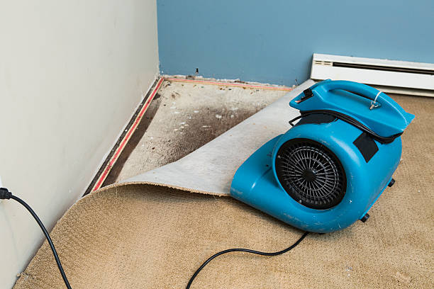 24/7 water damage repair in Dewitt, MI